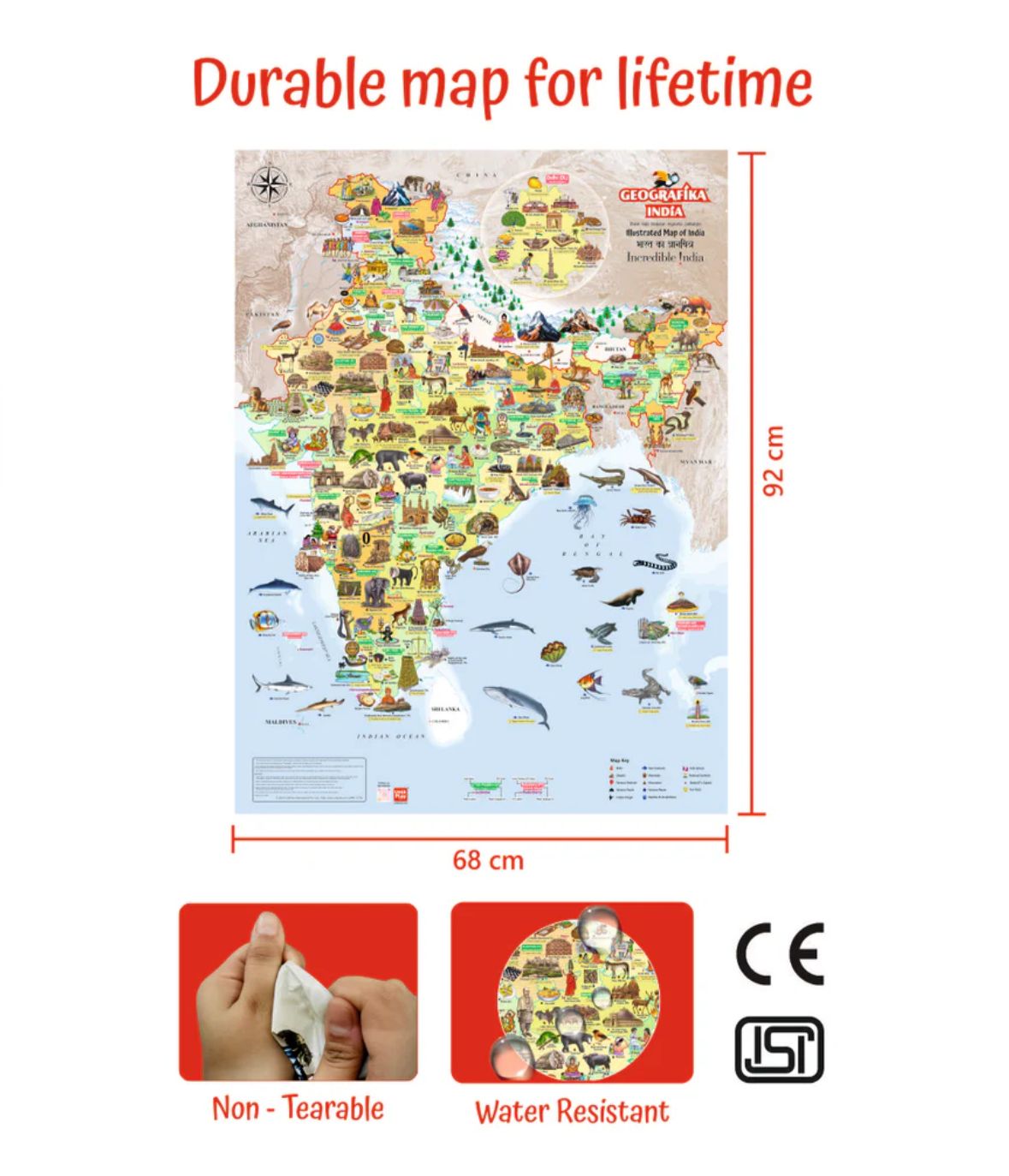 Geographika World Geography Board Game - Image 5